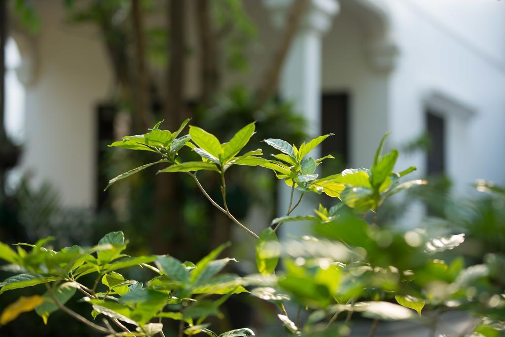 Sonalong Boutique Village&Resort Siem Reap Extérieur photo